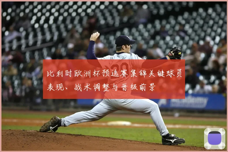 比利时欧洲杯预选赛集锦关键球员表现、战术调整与晋级前景
