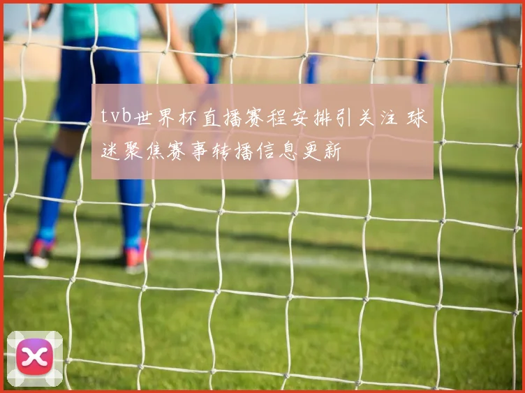 tvb世界杯直播赛程安排引关注 球迷聚焦赛事转播信息更新