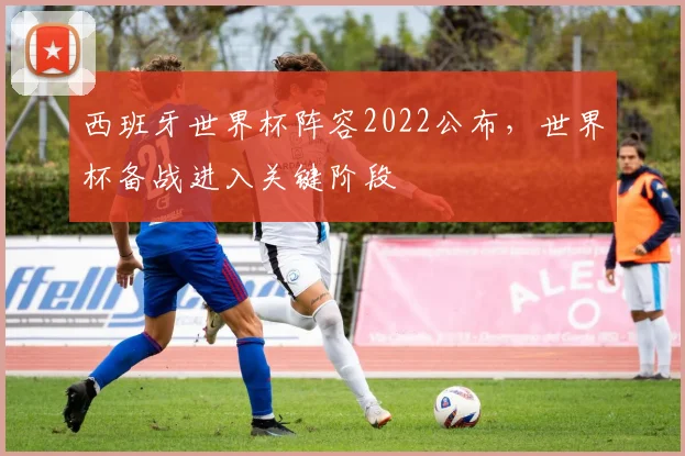 西班牙世界杯阵容2022公布,世界杯备战进入关键阶段