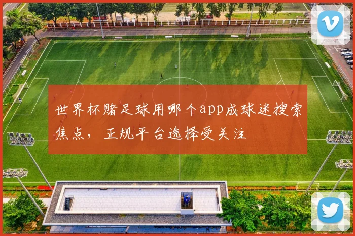世界杯赌足球用哪个app成球迷搜索焦点,正规平台选择受关注